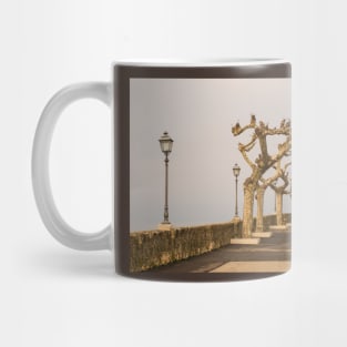 Torri del Benaco Waterfront Mug